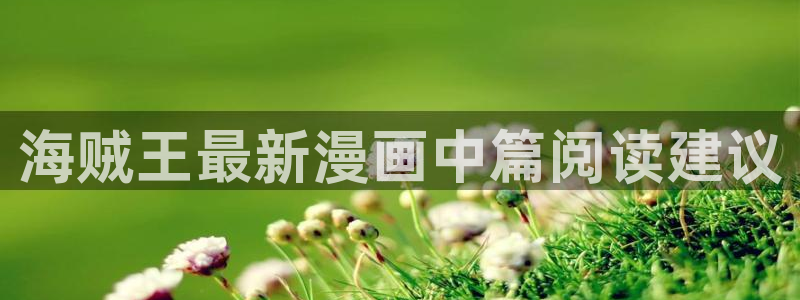 奇漫屋免费：海贼王最新漫画中篇阅读建议
