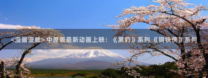 从今天开始当城主漫画奇漫屋：<漫画漫威> 中原版最新动画上映：《黑豹》系列 《钢铁侠》系列