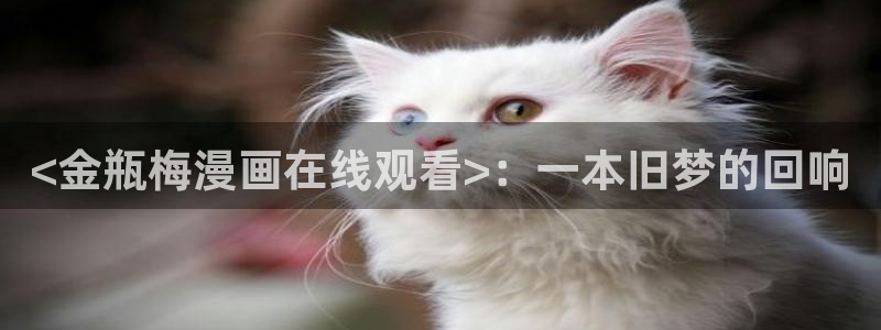 奇漫屋下拉式(免费漫画)官方网：<金瓶梅漫画在线观看>：一本旧梦的回响