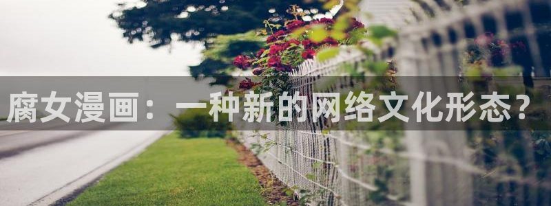 妻为上漫画下拉式奇漫屋：腐女漫画：一种新的网络文化形态？