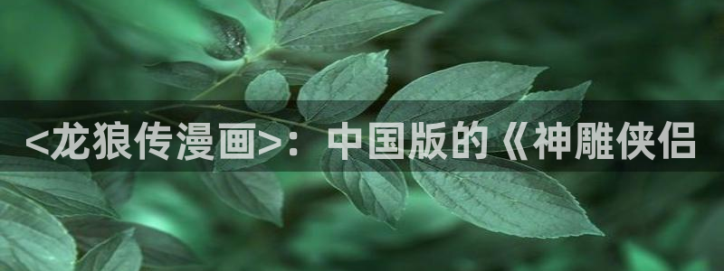 奇漫屋漫画网：<龙狼传漫画>：中国版的《神雕侠侣