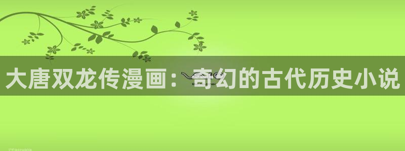 奇漫屋免费漫画下拉式错撩：大唐双龙传漫画：奇幻的古代历史小说