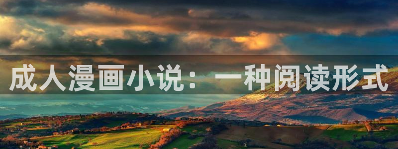 暴力俏丫头奇漫屋：成人漫画小说：一种阅读形式