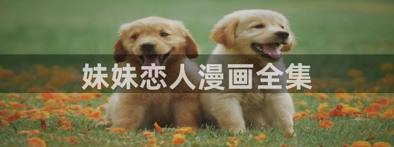 奇漫屋网站