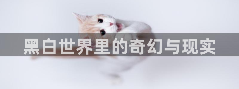 万人之上漫画下拉式免费阅读奇漫屋
