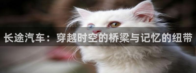 萌师在上奇漫屋